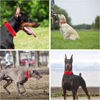 Tactical Dog Collar with Heavy Duty Metal Buckle and Control Handle for Medium Large Dogs Training(Red, Medium)