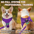 Dog Harness Step in Dog Vest Harness, Reflective Adjustable Puppy No Pull Harness Breathable Soft for Small and Medium Dogs Cats, Purple, S