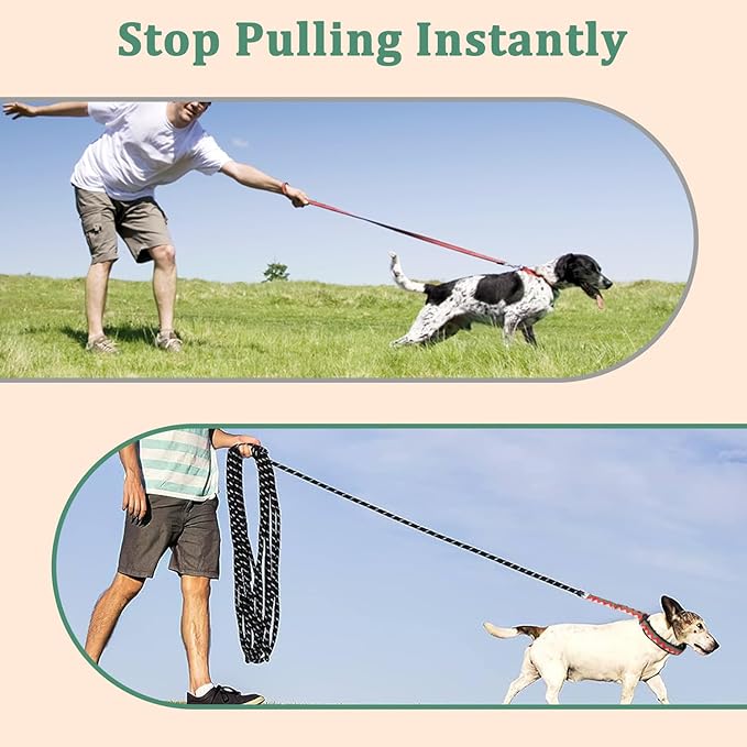 Mayerzon No Pull Dog Prong Collar Martingale, Personalized Pinch Collar with Geometric Patterns for Large Medium Small Dogs for Walking Training Festival, Easy to Use(L, Ethnic Green)