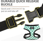 PUPTECK Soft Mesh Dog Harness and Leash Set Pet Puppy Cat Comfort Padded Vest No Pull Harnesses, Checkered Green&White, L