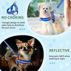 SlowTon No Pull Small Dog Harness and Leash Set, Puppy Soft Vest Harness Neck & Chest Adjustable, Reflective Lightweight Harness & Anti-Twist Pet Lead Combo for Small Medium Dogs (DB-Front Clip, XS)