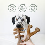Benebone 4-Pack Ball/Bone/Bacon Wishbone/Fishbone Medium