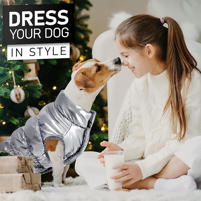 AOFITEE Dog Jacket, Dog Winter Coat, Waterproof Dogs Coats for Small Dogs, Warm Fleece Pet Snowsuit Puffer Jacket, Cozy Winter Pet Fleece Vest, Female Male Pets Cold Weather Coats, Silver, XXL