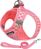AIITLE Easy Walk Dog Vest Harness and Leash Set, Pet Supply No Pull, Breathable Mesh, Reflective Stripes, Adjustable Escape Proof Pet Outdoor Harnesses for Medium Dogs Watermelon L