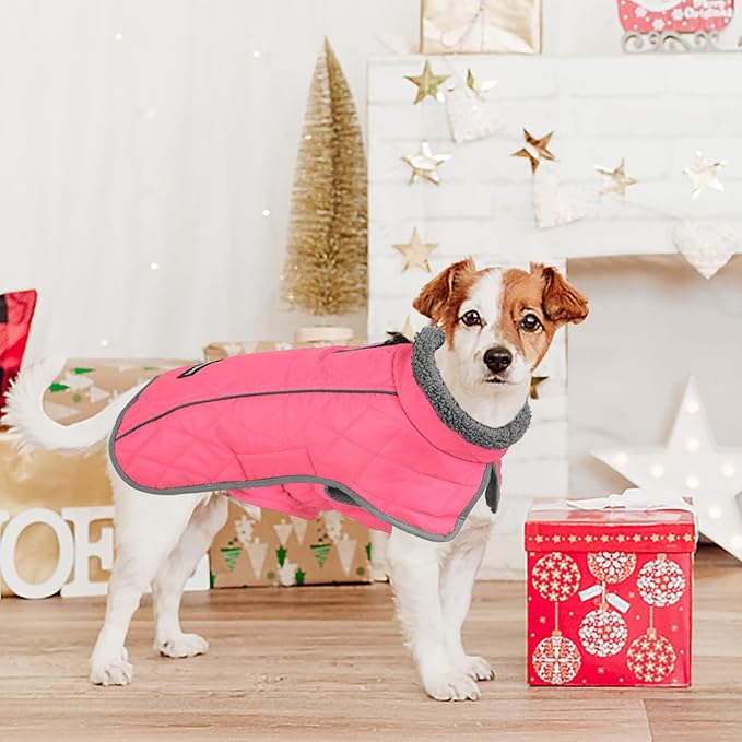 Fragralley Dog Coat Large, Waterproof Dog Jacket with Warm Fleece Lining, Adjustable Reflective Dogs Winter Coat, Turtleneck Pet Coats for Cold Weather (Pink XXL)