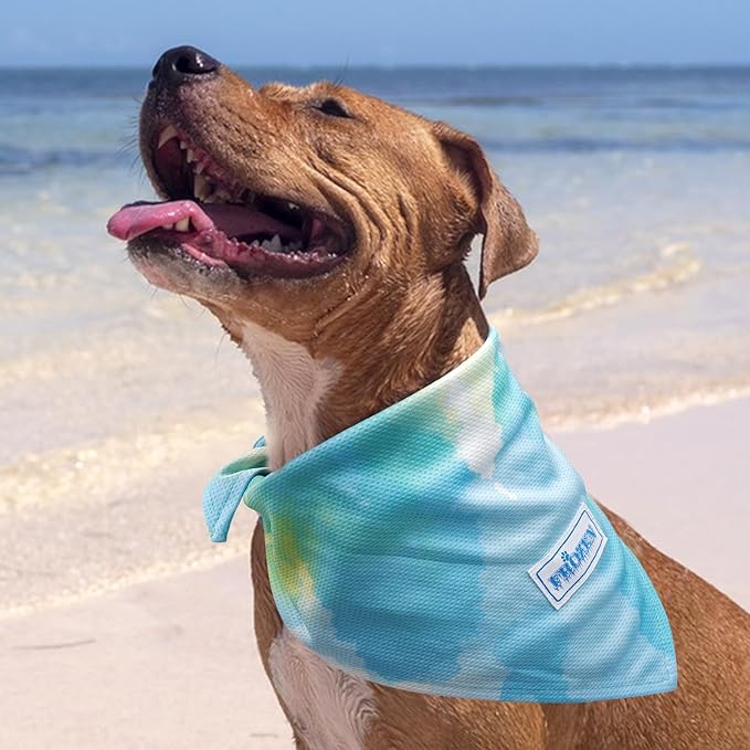 KYEESE 2Pack Dog Cooling Bandana, Breathable Cooling Bandanas for Small Medium Large Dogs, Neck Cooler Wraps for Summer Walking Outdoor, Purple+Blue