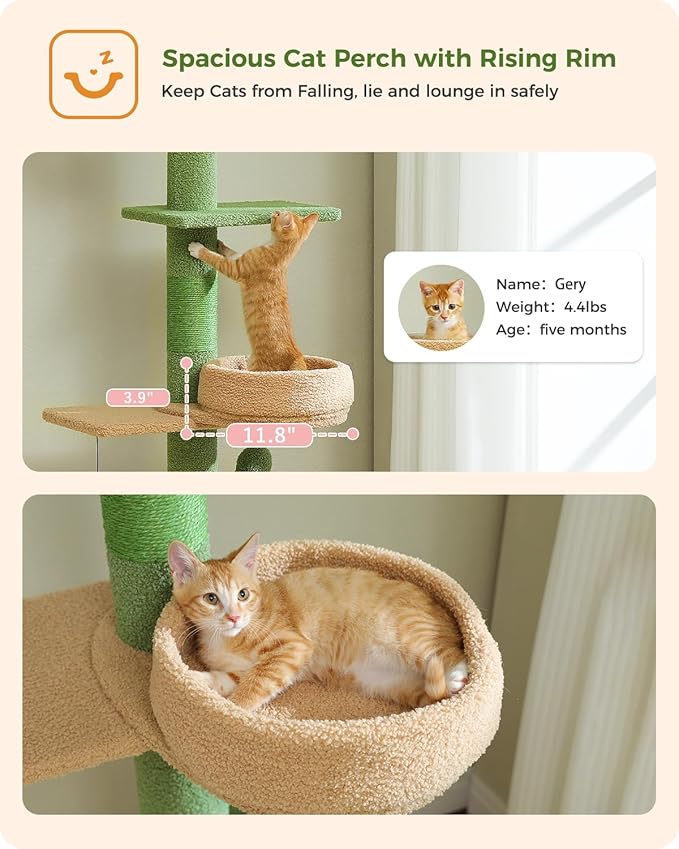 PETEPELA Floor to Ceiling Cat Tree, Cactus Cat Tower, Tall Cat Climbing Tree[87"-100"] Height Adjustable, 5 Levels with Top Perch and Replaceable Hammock for Indoor Cats, Cactus Green