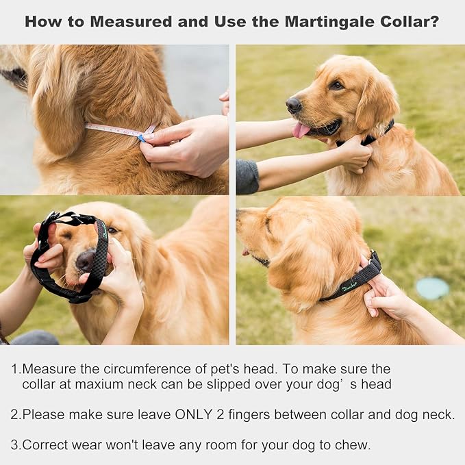 Martingale Dog Collar, Escape-Proof and No Slip Design, Heavy-Duty Nylon with Metal Buckle, Adjustable for Small, Medium & Large Dogs, Colorfast for Training, Daily Walks (Classic Black, M)