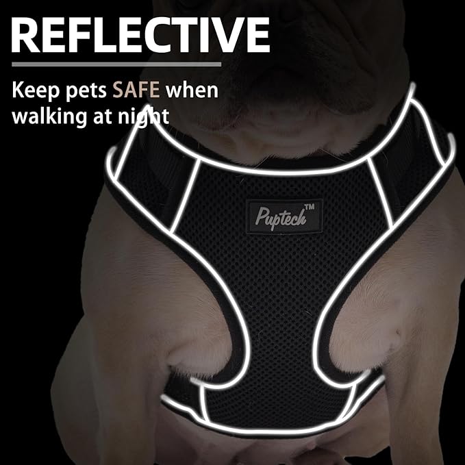 PUPTECK Small Dog Harness and Leash Set, No Pull Adjustable Puppy Cat Harness, Reflective Soft Mesh Pet Vest Small Sized, Black, S