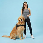 Didog Soft Flannel Padded Dog Vest Harness, No Pull/Quick Fit Reflective Dog Strap Harness, Easy for Training Walking (M:Chest 22-26", Black)