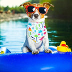8 Pieces Summer Boy Dog Bandanas Dinosaur Triangle Bid Scarf for Dogs Pet Cute Colorful Adjustable Bandana Accessories for Small Medium Pet Puppy Cats