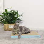 AMZNOVA Cat Scratcher Rescratch Cat Scratching Board, Scratching Pad with Catnip for Indoor, Flat Cardboard Scratcher Scratch Board for Kitten, Extra Wide, Baby Blue