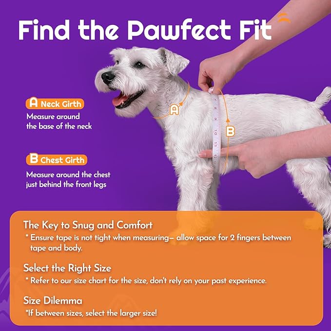 Eagloo Small Dog Harness and Leash Set, Step in Puppy Vest with Breathable Soft Mesh, Walking Reflective Pet Harness for Small Dogs, Purple, XXS