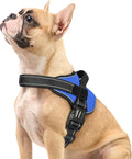 rabbitgoo Dog Harness Small Sized, No Pull No Choke Pet Vest, Easy Wearing with One Buckle, Reflective, Adjustable Pet Harness with Molle for Walking, Training, Blue, S