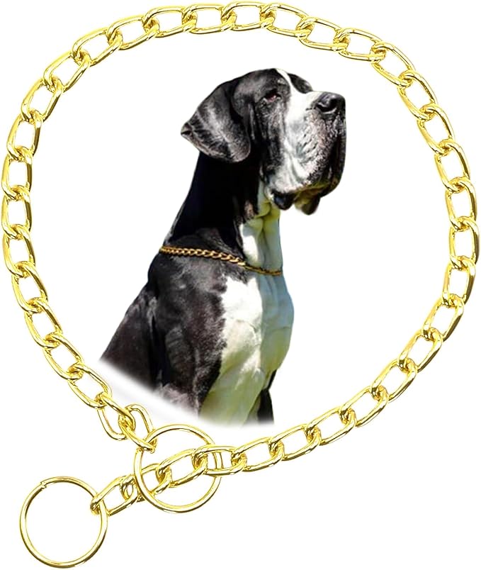 Gold Chain Collar for Dogs, Metal Slip Link Heavy Duty Dog Collar Training Puppy Collars for XXS XS Small Medium Large Big XL Breed Dogs, XSmall