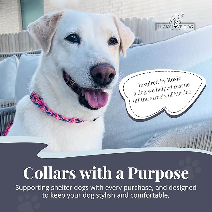 Lucky Love Dog Wide Dog Collar - Adjustable, Durable, Soft Webbing, & Comfortable 1.5 inch Wide Collar with Strong Buckle for Dogs Male and Female with Strong Buckle - Rosie, Large