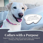 Lucky Love Dog Wide Dog Collar - Adjustable, Durable, Soft Webbing, & Comfortable 1.5 inch Wide Collar with Strong Buckle for Dogs Male and Female with Strong Buckle - Rosie, Large