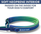 Spark Paws Martingale Dog Collar – Cushioned Slip-On Training Collar, Heavy Duty, Safety-Tested No-Buckle Collar for Medium & Large Dogs - Lime Wave - D
