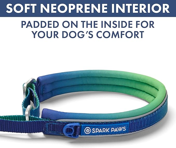 Spark Paws Martingale Dog Collar – Cushioned Slip-On Training Collar, Heavy Duty, Safety-Tested No-Buckle Collar for Medium & Large Dogs - Lime Wave - C