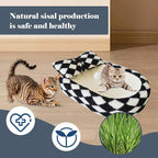 Cat Scratcher Bed 3 in 1 Sisal Cat Scratching Board for Indoor Oval Cat Scratch Pad Durable Scratching Lounge Bed Round Bowl with Toy Balls for Cats Kitten Puppy (24"x15.7"x3.5")