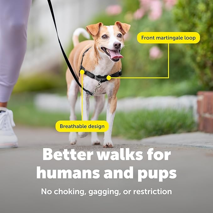 PetSafe Easy Walk Harness for Dogs - Pull-Free Walks - Patented Martingale Loop Design - Front Chest Leash Attachment - Comfort Straps - Breathable Harness Design - Small, Fawn/Brown