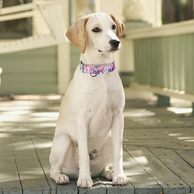 Martingale Dog Collars - Flower Multicolor Cute Patterns, Adjustable Nylon Training Dog Collar Suitable for Boy and Girl Dogs Medium Large Dogs (L, White1)