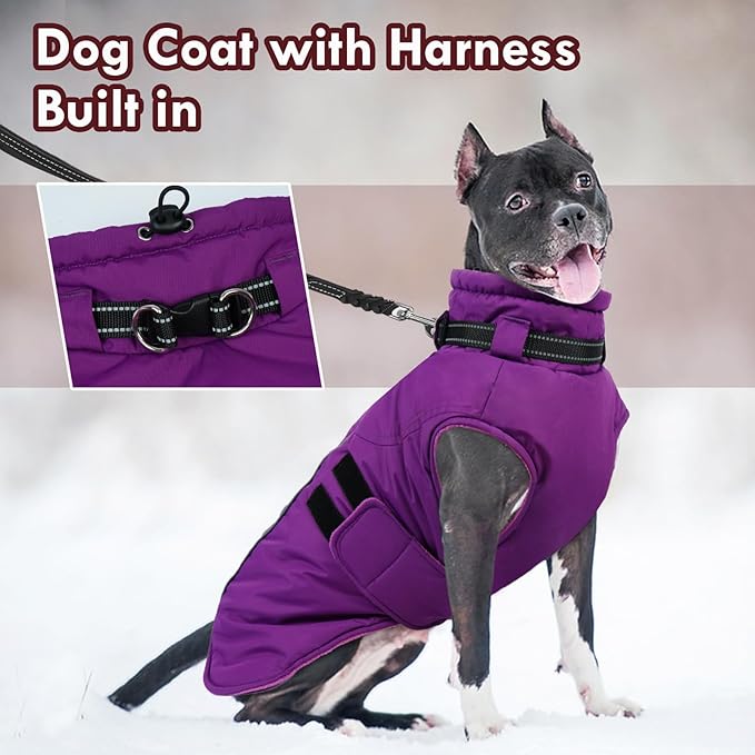 Dog Winter Coat with Harness, Warm Dog Jackets for Large Dogs Waterproof, Adjustable Hook&Loop Reflective Snowsuit, Cold Weather Coats for Dogs Labrador Doberman, XXXL Purple