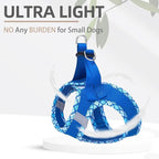 PUPTECK Dog Harness and Leash Set for Small Medium Dogs No Pull Step-in Soft Mesh Puppy Cat Vest Harnesses Reflective at Night, Blue M