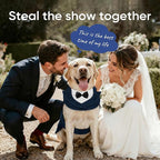 Supet Dog Tuxedo and Bandana Set with Bow Tie, Formal Outfit for Wedding Birthday Party Graduation Valentines, Pet Suit Clothes for Large Medium Small Dogs (Blue, S)