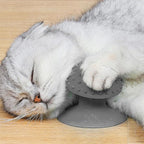 Gray Cat Corner Scratcher | Cat Corner Self Groomer Remove Loose Fur, Removable Design for Cleaning, Cat scratcher Cat Massage Combs for Short Long Fur Cats, Kitten Puppy Massager Cat Brushes,Grooming