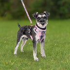 PUPTECK Small Dog Harness and Leash Set, No Pull Adjustable Puppy Cat Harness, Reflective Soft Mesh Pet Vest Small Sized, Pink Plaid, XS