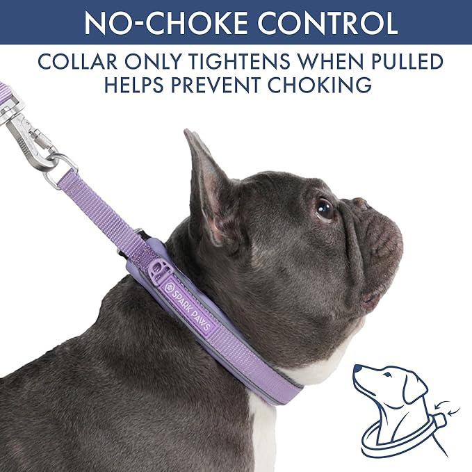 Spark Paws Martingale Dog Collar – Cushioned Slip-On Training Collar, Heavy Duty, Safety-Tested No-Buckle Collar for Medium & Large Dogs - Lilac - A