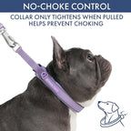 Spark Paws Martingale Dog Collar – Cushioned Slip-On Training Collar, Heavy Duty, Safety-Tested No-Buckle Collar for Medium & Large Dogs - Lilac - B