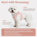 rabbitgoo Dog Harness Small Sized and Leash Set, Step in Soft Light Puppy Vest, Breathable Mesh Pet Harness, Reflective for Outdoor Safe Walking, Pink XXL