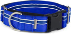 If It Barks - 1.5" Martingale Collar for Dogs - Quick Snap Release Buckle - Adjustable - Nylon - Strong and Comfy - Ideal for Training - Made in USA - Large, Blueberry