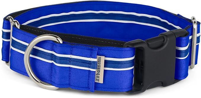 If It Barks - 1.5" Martingale Collar for Dogs - Quick Snap Release Buckle - Adjustable - Nylon - Strong and Comfy - Ideal for Training - Made in USA - Medium, Blueberry