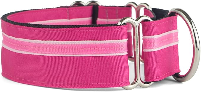 If It Barks - 1.5" Martingale Collar for Dogs - Adjustable - Nylon - Strong and Comfy - Ideal for Training - Made in USA - Medium Bubble Gum