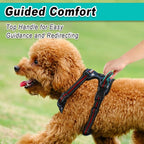 BARKBAY Dog Harness No Pull Mesh for Small Dogs - Adjustable, Reflective, Comfortable, No Choke, Heavy-Duty - Perfect for Outdoor Training, Walking, and Hiking - Strong & Durable - S & Blue Star Mesh
