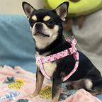 QQPETS Dog Harness Leash Set Adjustable Heavy Duty No Pull Halter Harnesses for Small Medium Large Breed Dogs Back Clip Anti-Twist Perfect for Walking (M(19"-26" Chest Girth), Sakura Pink)