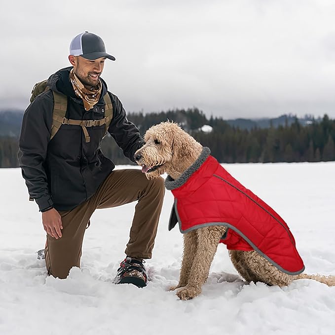 Fragralley Dog Coat Large, Waterproof Dog Jacket with Warm Fleece Lining, Adjustable Reflective Dogs Winter Coat, Turtleneck Pet Coats for Cold Weather (Red XXXL)