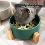 Petygooing Ceramic Dog Cat Bowl Set with Stand,Medium Dog Bowls,Pet Food and Water Dish, Anti -Slip Set of 2 Cat Bowls-Pet Food Bowl- Pet Dish Small Medium Size Pet (28 OZ /3.6 Cups) Green