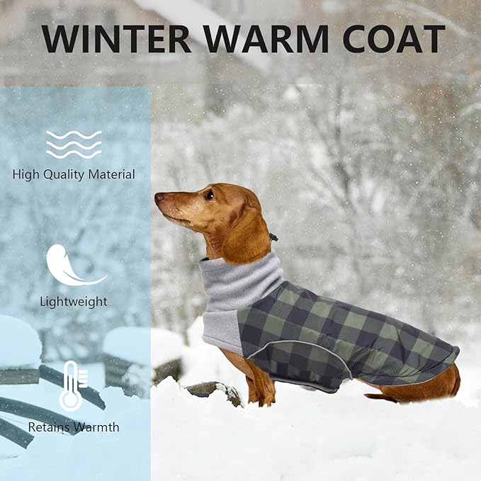 Dog Winter Coat,Dachshund Clothes,Waterproof Miniature Dachshund Jacket with Harness Hole,Dachshund Jumper with Turtle Neck,British Style-Green Plaid-M