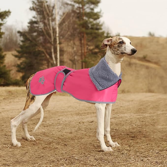 Geyecete Dog Winter Coat Geyecete Greyhound Raincoat Fabric with Lamb Velvet Inside Outdoor Dog Apparel with Adjustable Bands for Medium, Large Dog-Pink-M