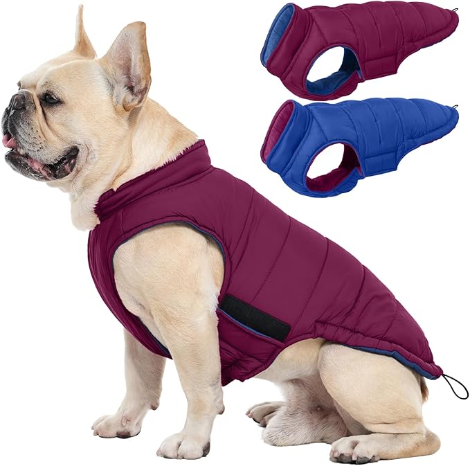 QBLEEV Reversible Dog Winter Coat, Waterproof Windproof Warm Jacket with Adjustable Hook & Loop Design, Lightweight Puffer Vest for Medium Dogs, Purple, M – Fits Pug, Beagle, Corgi