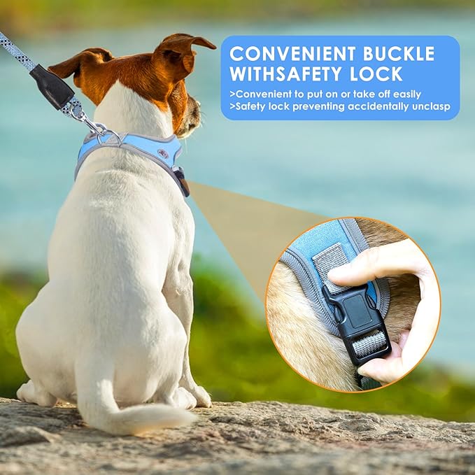 Dog Harness and Leash Set, No Pull Saddle Style Pet Harness, Breathable Mesh Adjustable Reflective Dog Vest for Dogs and Cat Medium Small Harness 2 D-Rings (Blue, XS)