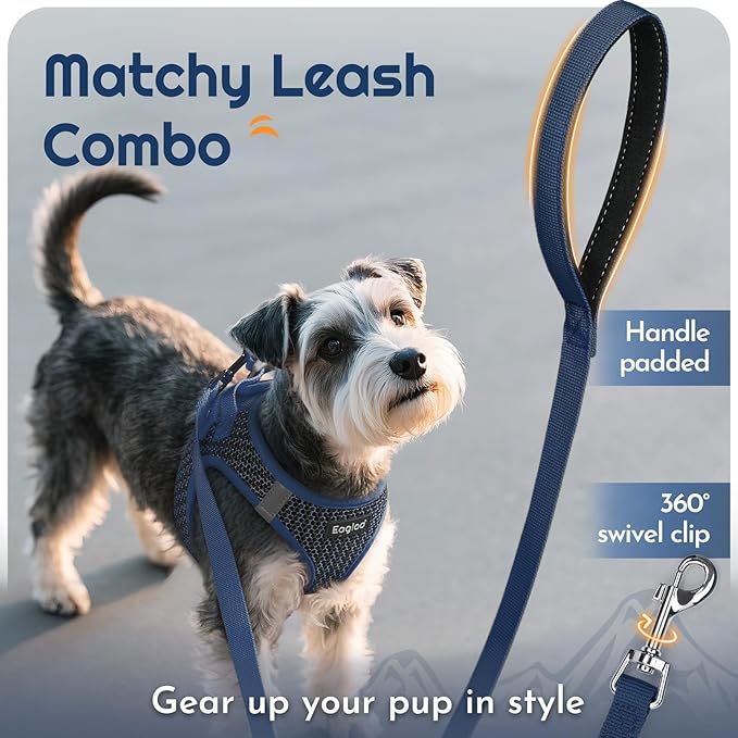 Eagloo Small Dog Harness and Leash Set, Step in Puppy Vest with Breathable Soft Mesh, Walking Reflective Pet Harness for Small Dogs, Navy Blue, XS