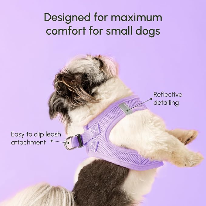 Downtown Pet Supply Step in Dog Harness for Small Dogs - Adjustable, Escape Proof Dog Harness with Reflective Trim - All-Weather, Fast-Drying Padded Mesh Fabric - Lilac, XXS