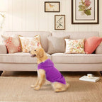 EXPAWLORER Dog Hoodie Fleece Sweater Vest, Hooded Dog Sweatshirt Fall Winter Pet Clothes with Leash Ring, Sleeveless Warm Cozy Puppy Clothing for Cat Small Medium Large Dogs Girl Boy, Purple M