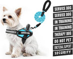 Service Dog Vest Harness and Leash Set, Animire in Training Dog Harness with 10 Dog Patches, Reflective Dog Leash with Soft Padded Handle for Small, Medium, Large, and Extra-Large Dogs