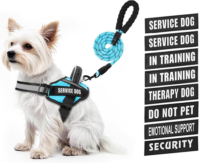 Service Dog Vest Harness and Leash Set, Animire in Training Dog Harness with 10 Dog Patches, Reflective Dog Leash with Soft Padded Handle for Small, Medium, Large, and Extra-Large Dogs